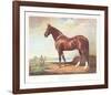 Hambletonian-Helen Hayse-Framed Limited Edition