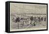 Hamburg Cholera Tents-null-Framed Stretched Canvas