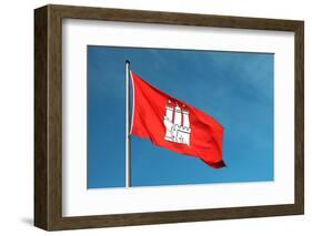 Hamburg City Flag-Tiberiu Stan-Framed Photographic Print