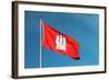 Hamburg City Flag-Tiberiu Stan-Framed Photographic Print