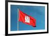 Hamburg City Flag-Tiberiu Stan-Framed Photographic Print