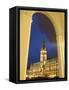 Hamburg City Hall in the Altstadt (Old Town), Hamburg, Germany-Yadid Levy-Framed Stretched Canvas