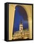 Hamburg City Hall in the Altstadt (Old Town), Hamburg, Germany-Yadid Levy-Framed Stretched Canvas