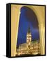 Hamburg City Hall in the Altstadt (Old Town), Hamburg, Germany-Yadid Levy-Framed Stretched Canvas