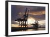 Hamburg, Container Terminal, Harbour Cranes-Catharina Lux-Framed Photographic Print