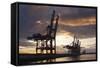 Hamburg, Container Terminal, Harbour Cranes-Catharina Lux-Framed Stretched Canvas