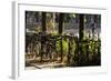 Hamburg, Fair Halls, Bicycles-Catharina Lux-Framed Photographic Print