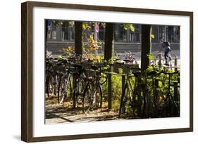 Hamburg, Fair Halls, Bicycles-Catharina Lux-Framed Photographic Print