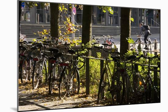 Hamburg, Fair Halls, Bicycles-Catharina Lux-Mounted Photographic Print