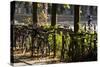 Hamburg, Fair Halls, Bicycles-Catharina Lux-Stretched Canvas