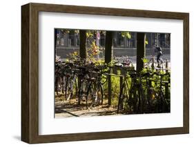 Hamburg, Fair Halls, Bicycles-Catharina Lux-Framed Photographic Print