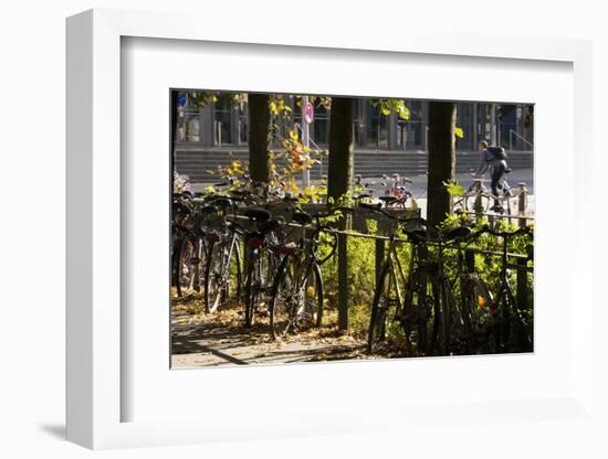 Hamburg, Fair Halls, Bicycles-Catharina Lux-Framed Photographic Print