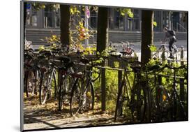 Hamburg, Fair Halls, Bicycles-Catharina Lux-Mounted Photographic Print
