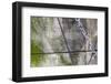 Hamburg, Germany-Art Wolfe-Framed Photographic Print