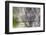 Hamburg, Germany-Art Wolfe-Framed Photographic Print