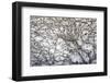 Hamburg, Germany-Art Wolfe-Framed Photographic Print