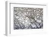 Hamburg, Germany-Art Wolfe-Framed Photographic Print