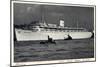 Hamburg, Kdf Schiff, Wilhelm Gustloff, Dampfer-null-Mounted Premium Giclee Print