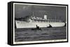 Hamburg, Kdf Schiff, Wilhelm Gustloff, Dampfer-null-Framed Stretched Canvas