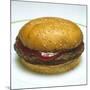 Hamburger and Ketchup-null-Mounted Photographic Print
