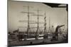 Hamburger Hafen, Viermast Bark Padua, Segelschiff-null-Mounted Giclee Print