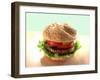 Hamburger-ATU Studios-Framed Premium Photographic Print