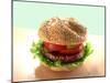 Hamburger-ATU Studios-Mounted Premium Photographic Print