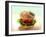 Hamburger-ATU Studios-Framed Photographic Print