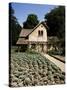 Hameau De Trianon, Palace Grounds, Versailles, Ile De France, France-Philip Craven-Stretched Canvas