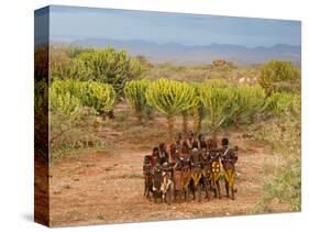 Hamer Dancers, Omo Valley, Ethiopia-Peter Adams-Stretched Canvas