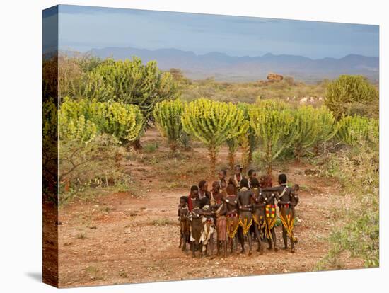 Hamer Dancers, Omo Valley, Ethiopia-Peter Adams-Stretched Canvas