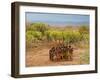 Hamer Dancers, Omo Valley, Ethiopia-Peter Adams-Framed Photographic Print