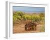 Hamer Dancers, Omo Valley, Ethiopia-Peter Adams-Framed Photographic Print