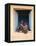 Hamer Woman with Baby-Peter Adams-Framed Stretched Canvas