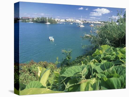 Hamilton Harbor with Greenery-Robin Hill-Stretched Canvas