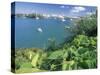 Hamilton Harbor with Greenery-Robin Hill-Stretched Canvas