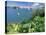 Hamilton Harbor with Greenery-Robin Hill-Stretched Canvas