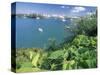 Hamilton Harbor with Greenery-Robin Hill-Stretched Canvas