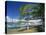 Hamilton Harbour on Hamilton Island, Great Barrier Reef, Queensland, Australia-Ken Gillham-Stretched Canvas