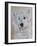 Hamish, 2011-Odile Kidd-Framed Giclee Print