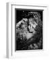 Hamlet, 1948-null-Framed Premium Photographic Print