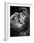 Hamlet, 1948-null-Framed Photographic Print