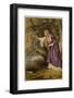 Hamlet, Act IV Scene I: Ophelia Gathers Flowers by the Stream-Joseph Kronheim-Framed Photographic Print