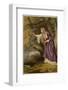 Hamlet, Act IV Scene I: Ophelia Gathers Flowers by the Stream-Joseph Kronheim-Framed Photographic Print