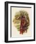 Hamlet, Claudius Disturbed by the Play Scene-Harold Copping-Framed Art Print