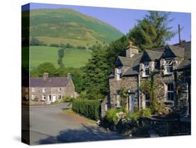 Hamlet of Aber Cywarch, Snowdonia National Park, Gwynedd, Wales, UK, Europe-Duncan Maxwell-Stretched Canvas