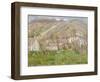 Hamlet on the Cliffs Near Giverny 1883-Claude Monet-Framed Giclee Print