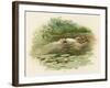 Hamlet, Ophelia Drowns-Harold Copping-Framed Art Print