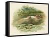 Hamlet, Ophelia Drowns-Harold Copping-Framed Stretched Canvas