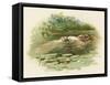 Hamlet, Ophelia Drowns-Harold Copping-Framed Stretched Canvas